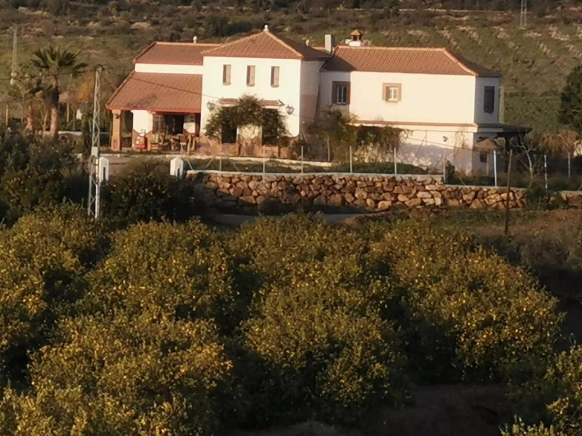 Villa Coino Cártama Esterno foto